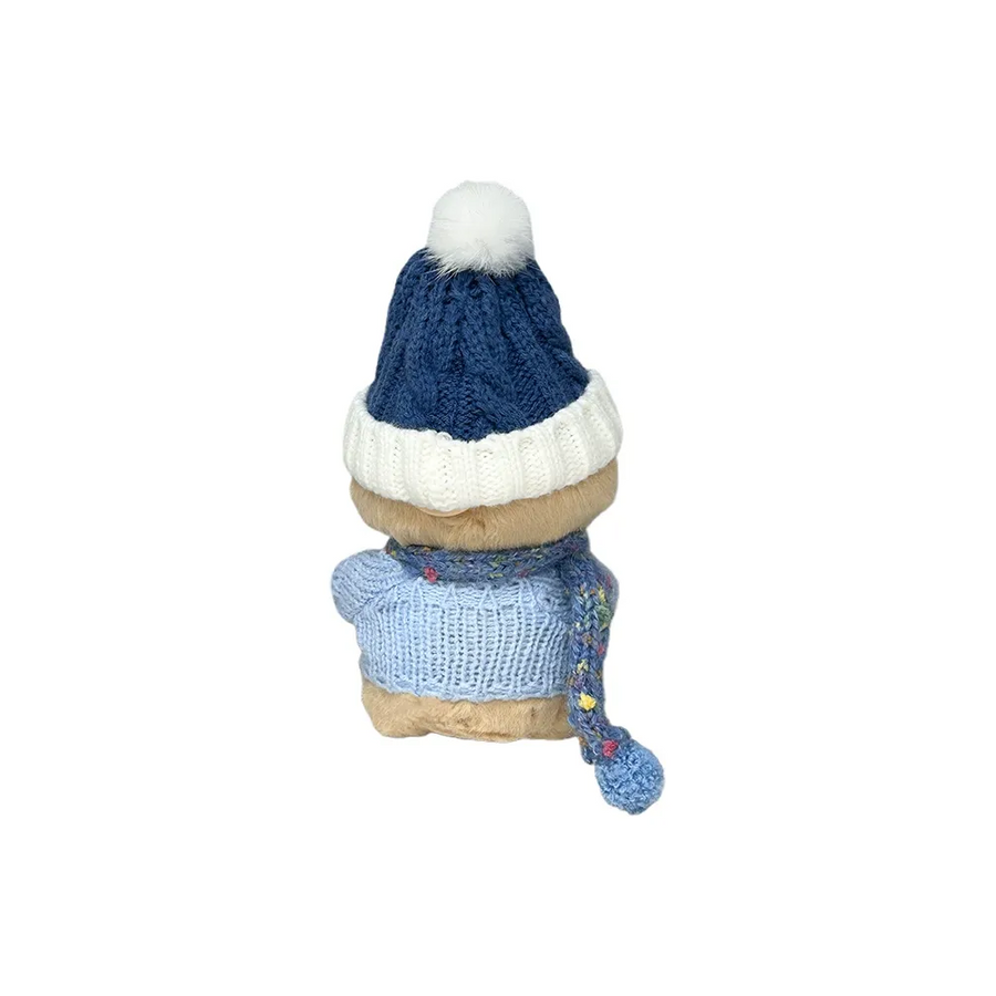 Pop Mart Blind Box Custom Blue Beanie And Sweater